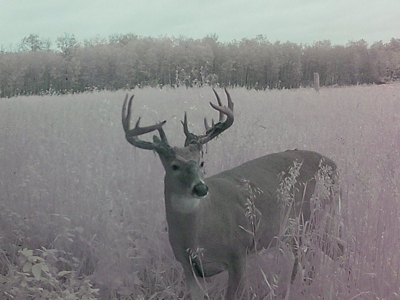 whitetail-deer-hunts-cam6.jpg